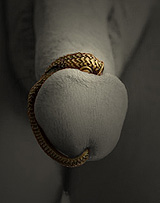 p&eacute;nis orn&eacute; d'un bijou plug en bronze - Julian Snelling