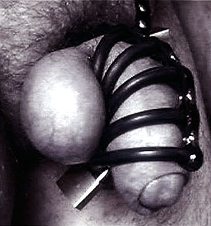 Sexe masculin contraint &agrave; la chastet&eacute; - cage de chastet&eacute; en cuir