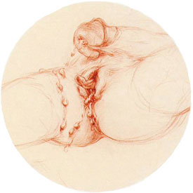 Clitoris empourpr&eacute;s - dessin anonyme 
