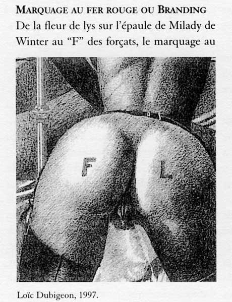 illustration Lo&iuml;c Dubigeon