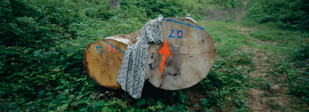 robe fl&ecirc;che