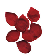 p&eacute;tales de rose