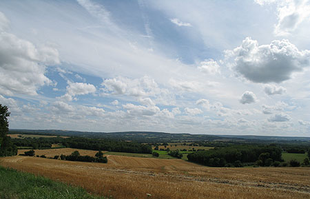La Fistini&egrave;re nich&eacute;e dans le Sancerrois