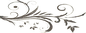 frise - d&eacute;cor du livre