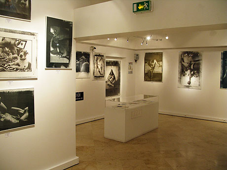 expo benaim au mus&eacute;e de l'&eacute;rotisme