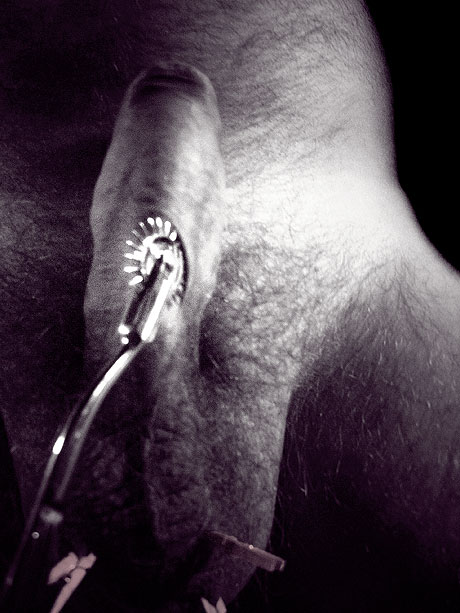 sexe masculin &eacute;moustill&eacute; par une roue de Wartenberg