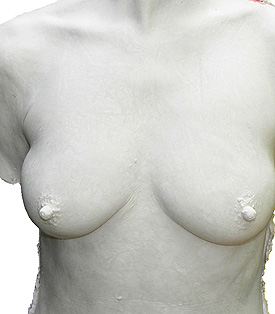 Buste f&eacute;minin - Moulage en pl&acirc;tre - Olivier Duhamel