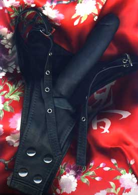 gode-ceinture /Image/img_articles/sextoys/gode_ceinture_2.jpg