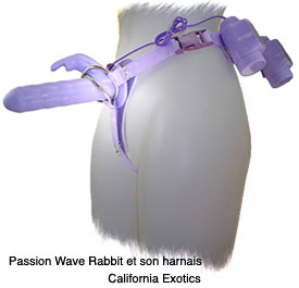 Passion Wave Rabbit strapon /Image/img_articles/sextoys/passion_wave.jpg